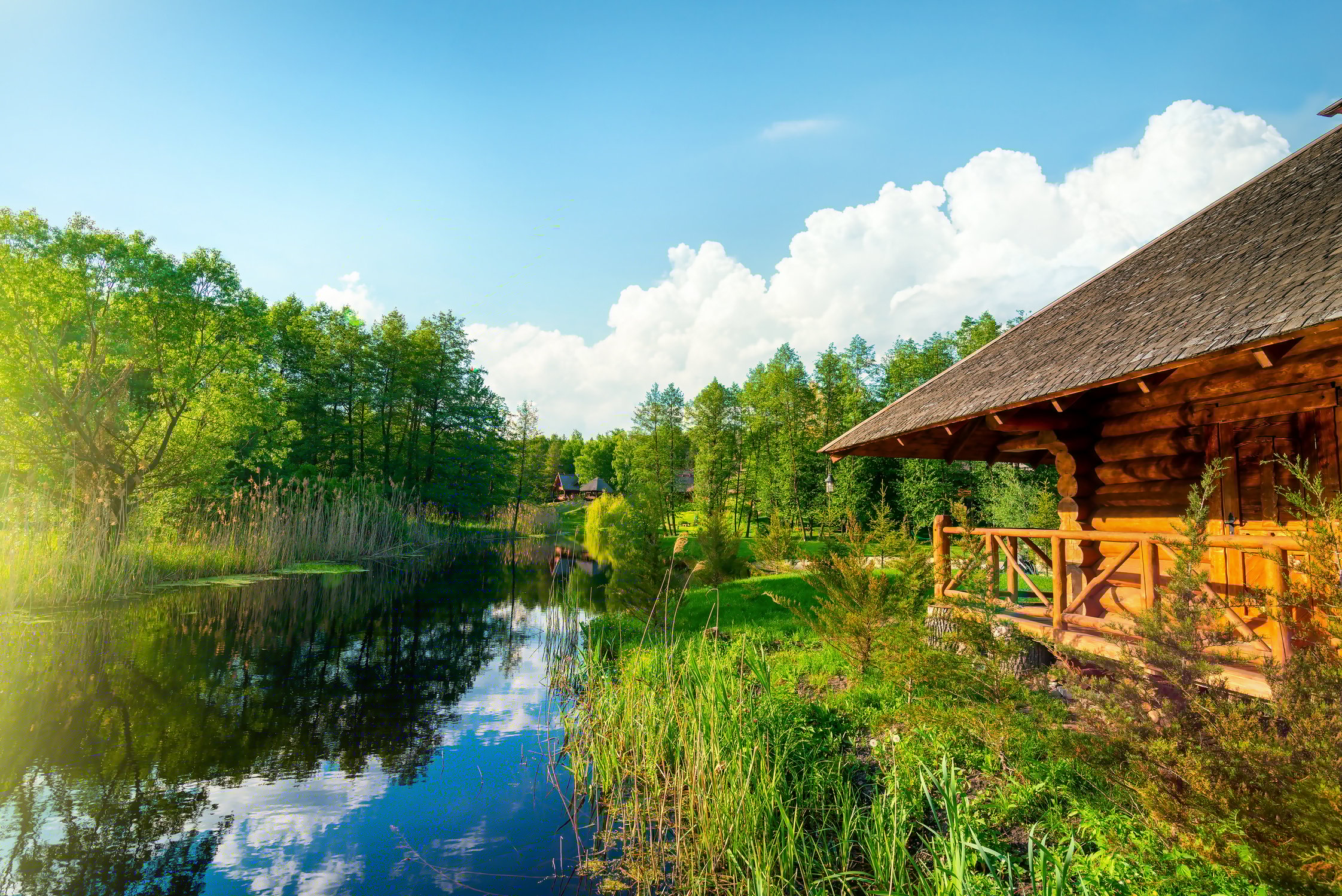 Hut by the Pond and Forest